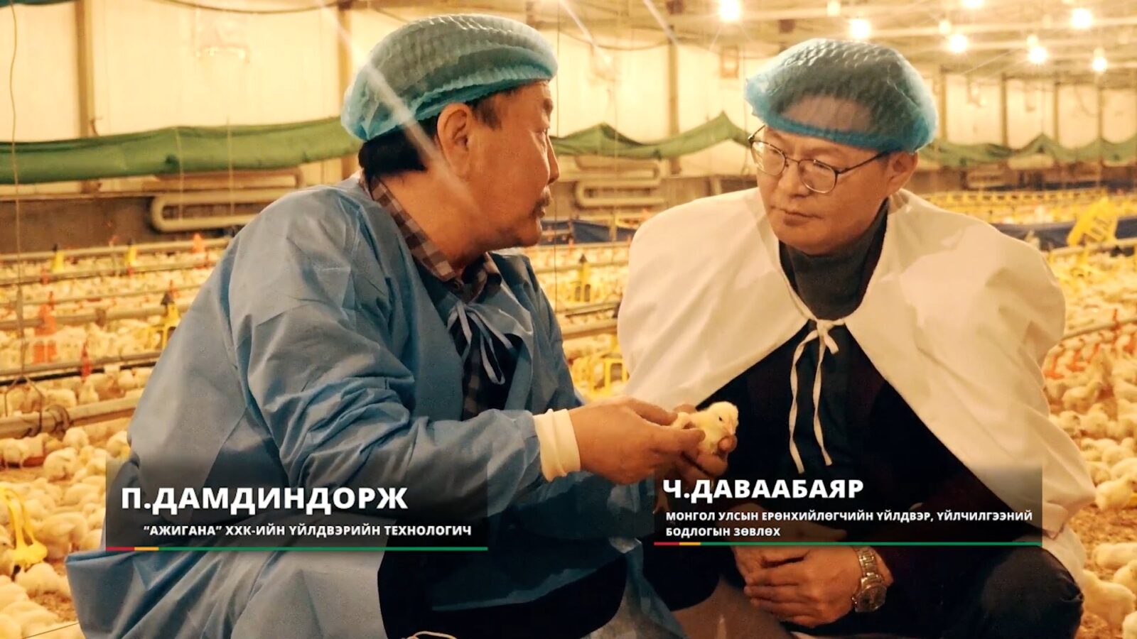 Монголдоо өсгөсөн тахианы мах, махан бүтээгдэхүүнээр хүн амын хүнсний ...