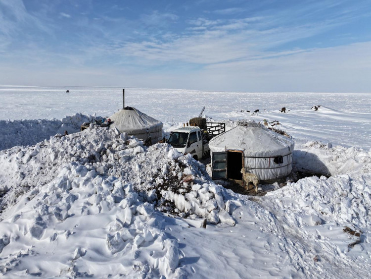 Өвөлжилт, хаваржилт хүндэрсэн аймгуудад ажиллах шуурхай бүлэг томиллоо ...
